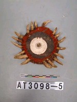 藏品(獸牙製帽前飾)的圖片